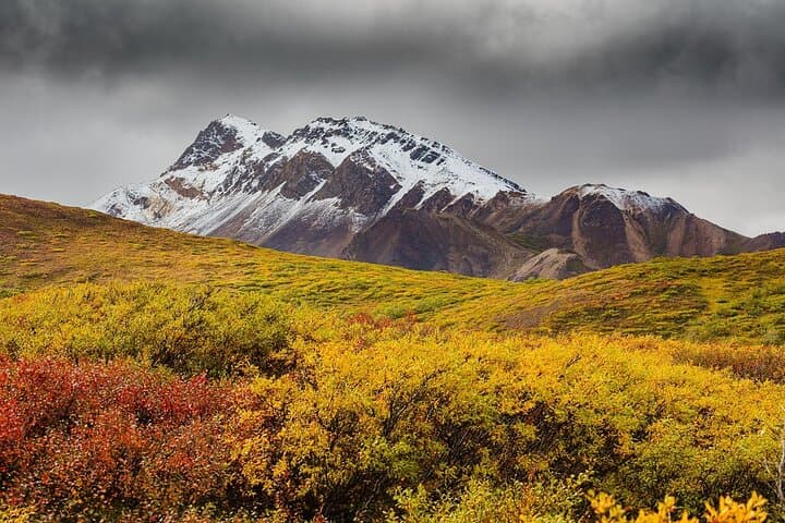 Alaska Fall Colors & Northern Lights: 5-Day Fairbanks Escape photo 2