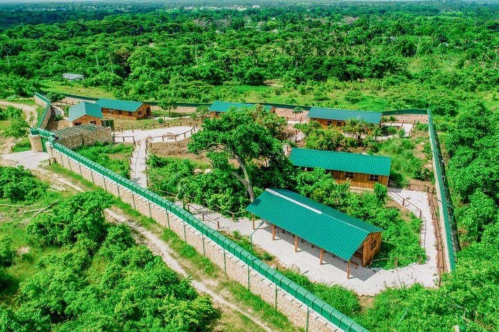 Punta Cana Monkey Sanctuary, Cenote & Plantation Tour — Coffee, Monkeys & a Cool Swim photo 5
