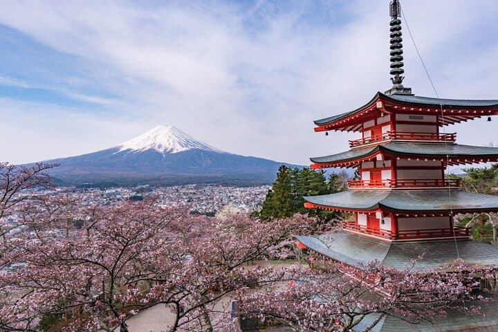 Mt. Fuji & Lake Kawaguchiko One-Day Bus Tour from Tokyo — Chureito Pagoda, Oishi Park & Saiko Village photo 3