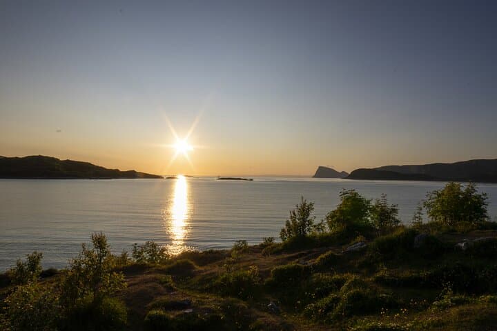 Tromsø Midnight Sun Fjord Adventure: Fjords, Wildlife & Seaside Lunch