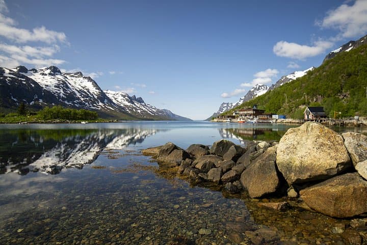 Tromsø Fjord Adventure: Wildlife Viewing, Photography & Seaside Lunch photo 1