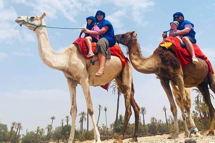 Dromedary in Agafay: Half-Day Camel Ride from Marrakech photo 4