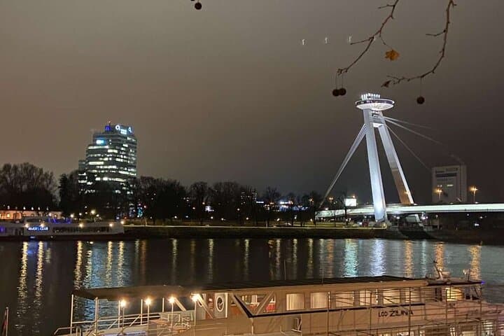 Bratislava Danube Panorama Cruise — 45-Min River Sightseeing photo 2
