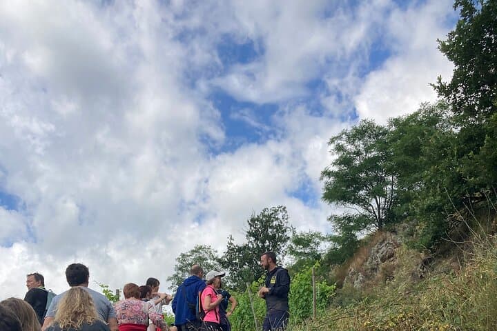 Hiking and Wine Between Côte-Rôtie and Condrieu: Rhône Valley Vineyard Walk photo 2