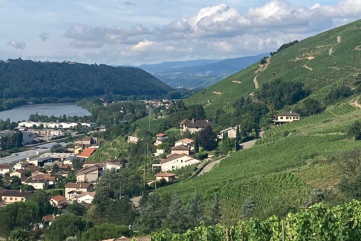Hiking and Wine Between Côte-Rôtie and Condrieu: Rhône Valley Vineyard Walk photo 6