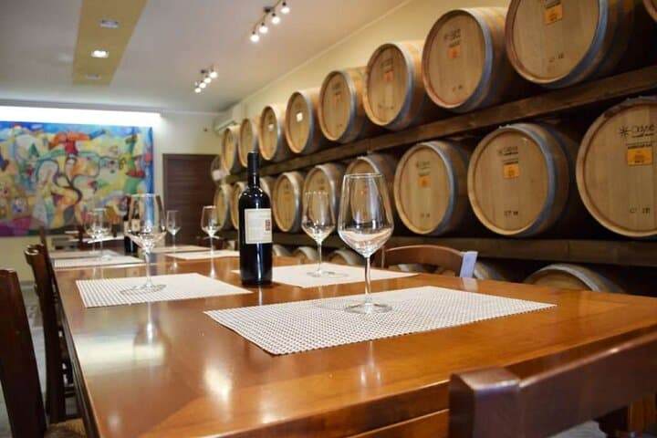 Negroamaro Vineyard Tour Near Lecce — Alberello Vines, Gaudí-Style Hermitage & Tasting photo 2