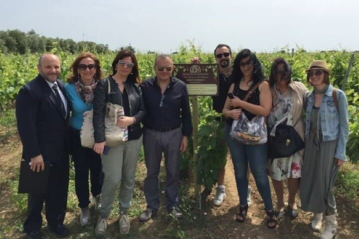 Negroamaro Vineyard Tour Near Lecce — Alberello Vines, Gaudí-Style Hermitage & Tasting photo 4
