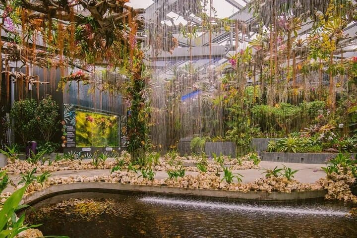 Gardens by the Bay Singapore: Cloud Forest, Flower Dome & OCBC Skyway Guide photo 2