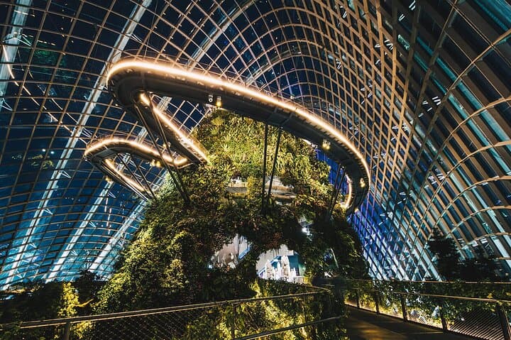 Gardens by the Bay Singapore: Cloud Forest, Flower Dome & OCBC Skyway Guide photo 3