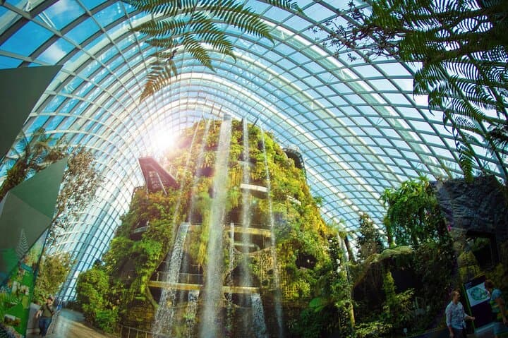 Gardens by the Bay Singapore: Cloud Forest, Flower Dome & OCBC Skyway Guide
