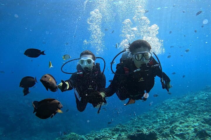 Blue Cave Private Diving Tour at Maeda Cape — Introductory Snorkel & Dive in Okinawa photo 2