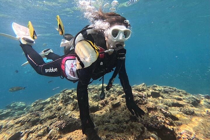 Blue Cave Private Diving Tour at Maeda Cape — Introductory Snorkel & Dive in Okinawa photo 3