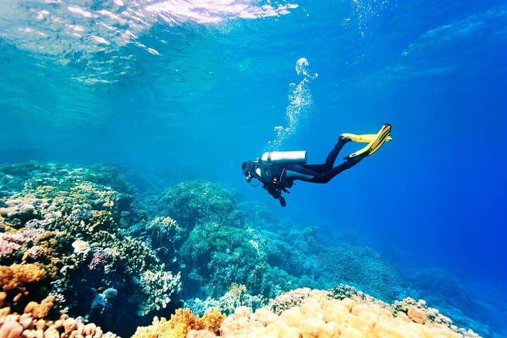 Beginner Open-Sea Dive from Mellieħa: Introductory Scuba in Marfa Bay photo 6