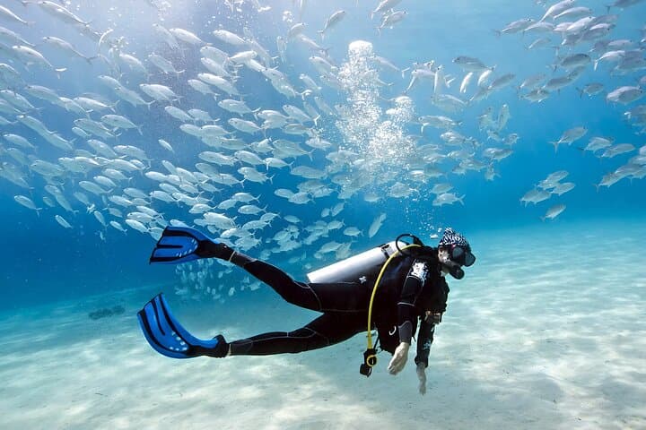 Beginner Open-Sea Dive from Mellieħa: Introductory Scuba in Marfa Bay photo 3