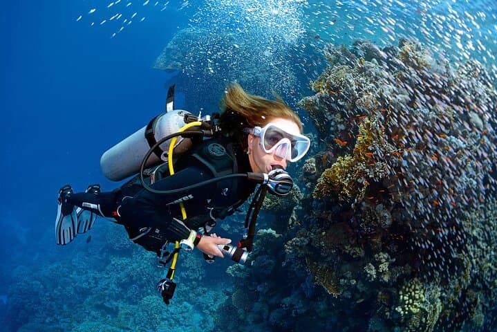 Beginner Open-Sea Dive from Mellieħa: Introductory Scuba in Marfa Bay