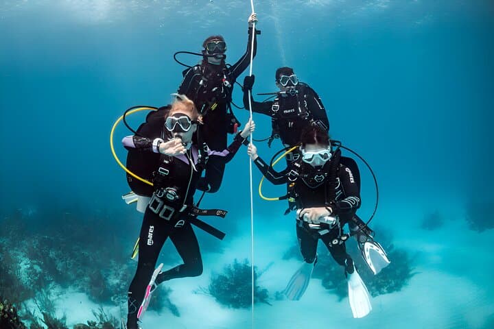 Beginner Open-Sea Dive from Mellieħa: Introductory Scuba in Marfa Bay photo 5