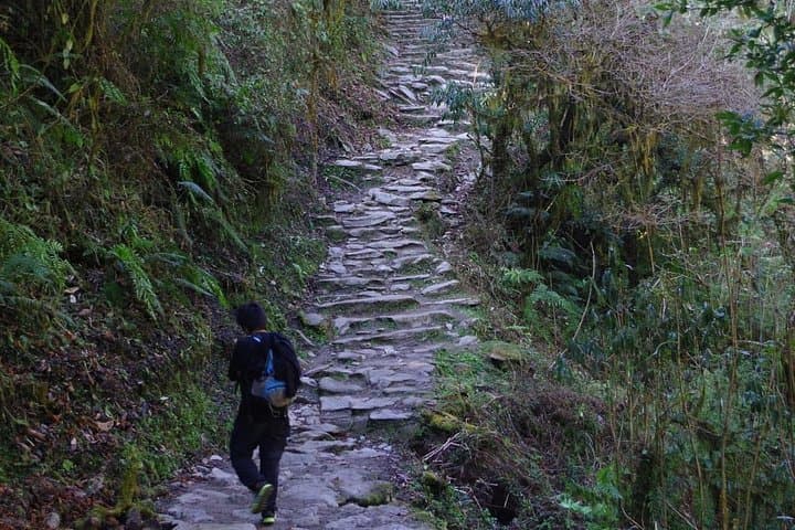 Ghorepani Poon Hill Trek: 5-Day Sunrise Trek from Pokhara photo 2