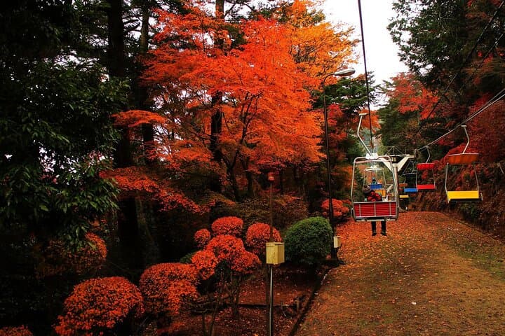 Mt. Takao Day Hike with Cable Car, Ramen and Tattoo-Friendly Hot Spring