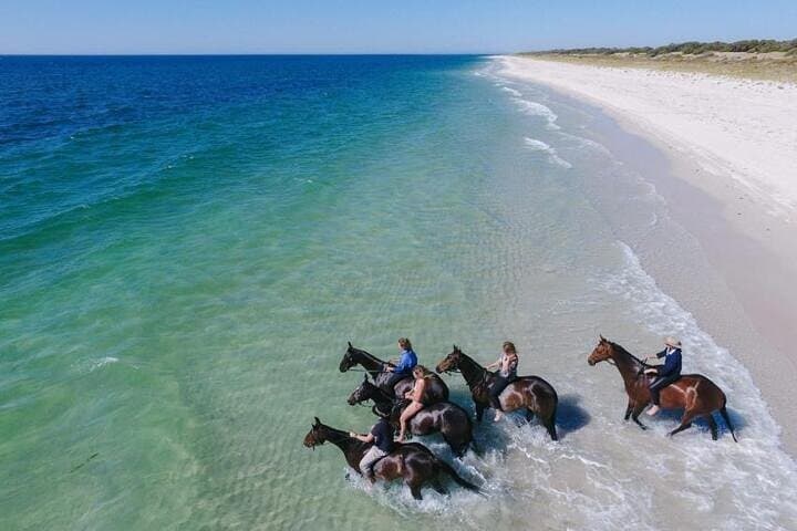 Where Dunes Meet Waves: 2‑Hour Horseback Ride in Hurghada photo 3