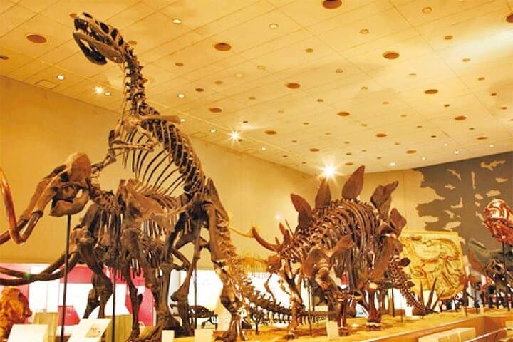 Osaka Amazing Pass: One- and Two-Day Subway & Attractions Guide photo 2