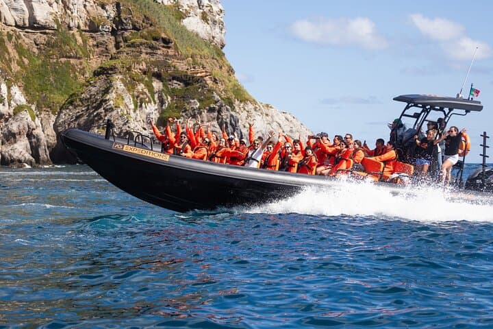 Wild North Coast Caves & Cliffs Boat Tour — São Miguel Adventure