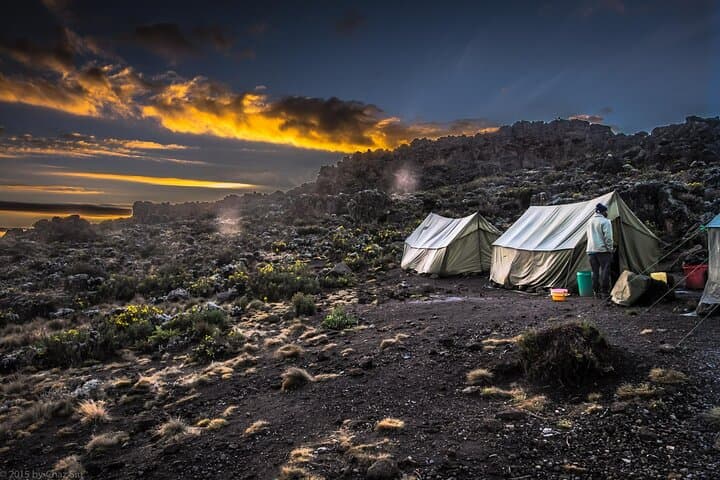 Conquer Kilimanjaro via Umbwe: 6-Day Summit Climb to Uhuru Peak photo 4