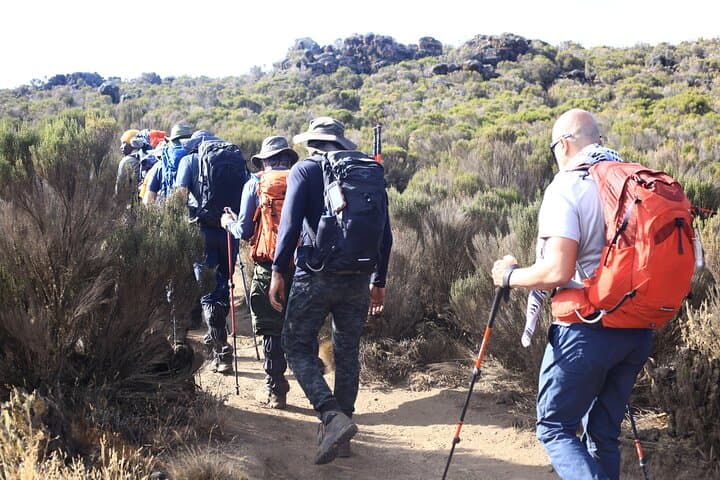 Conquer Kilimanjaro via Umbwe: 6-Day Summit Climb to Uhuru Peak photo 5