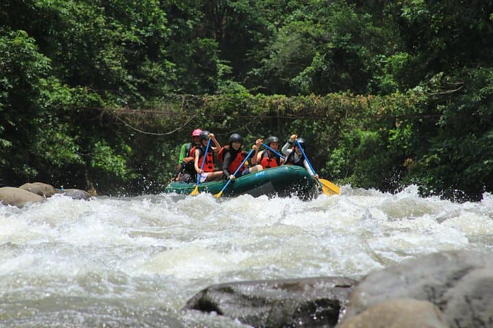 Arenal White Water Rafting with Organic Lunch — La Fortuna River Adventure photo 3
