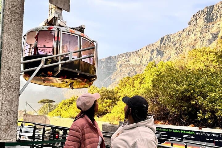 Table Mountain Private Half-Day Tour — Cable Car Summit Views & City Pickup