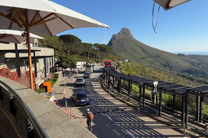 Table Mountain Private Half-Day Tour — Cable Car Summit Views & City Pickup photo 5