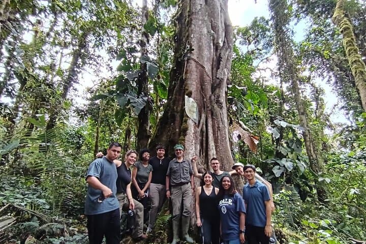 Quito Cloud Forest Ecological Experience at Tambo Quinde