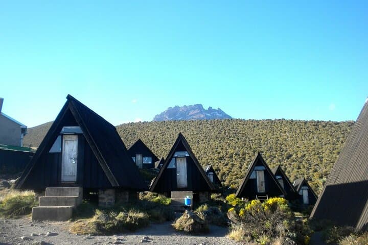 Kilimanjaro Rongai 7-Day Private Trek — Acclimatization Day & Meals Included photo 2