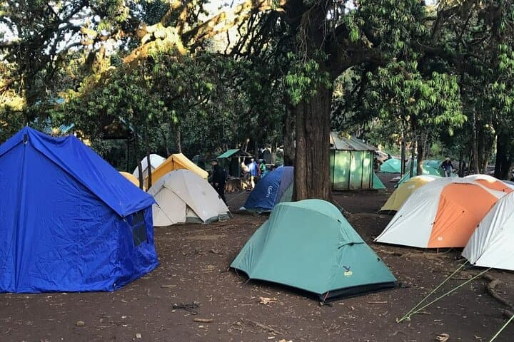 Kilimanjaro Rongai 7-Day Private Trek — Acclimatization Day & Meals Included photo 6
