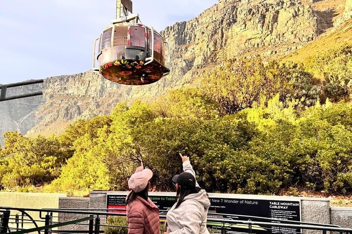 Half-Day Table Mountain Tour: Cable Car Views & Cape Town Pickup
