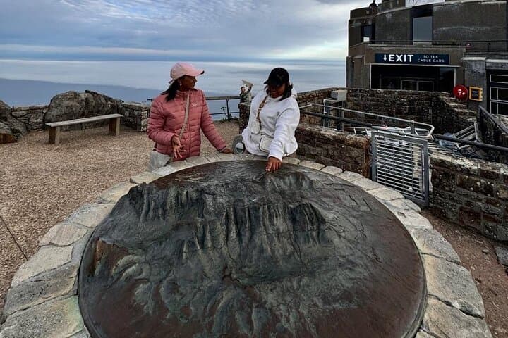 Half-Day Table Mountain Tour: Cable Car Views & Cape Town Pickup photo 2