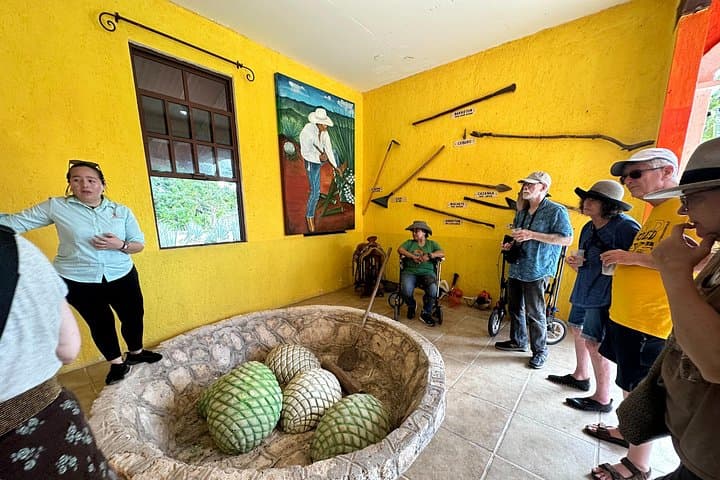 Cozumel History, Flavors & Beach: Tequila Hacienda and Coastal Escape photo 3