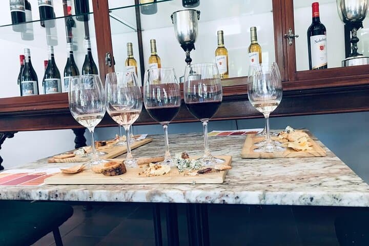 Hermanus Whale Watching and Benguela Wine Tasting: Shoreline-to-Sea Experience photo 4