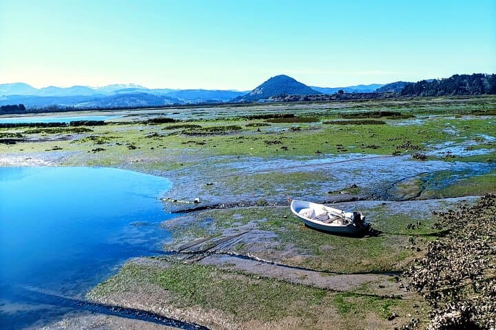 Santoña Anchovy Factory & Marshes Tour: Tasting the Cantabrian Estuary photo 6
