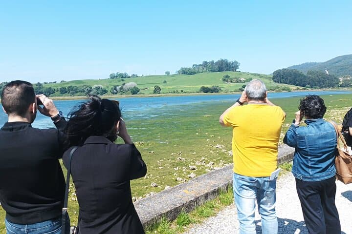 Santoña Anchovy Factory & Marshes Tour: Tasting the Cantabrian Estuary photo 2