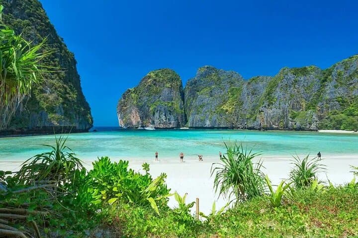 Phi Phi by Speedboat: Maya Bay, Pileh Lagoon, Khai & Bamboo Island Day Trip