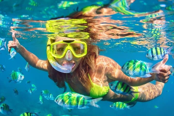 Phi Phi by Speedboat: Maya Bay, Pileh Lagoon, Khai & Bamboo Island Day Trip photo 6