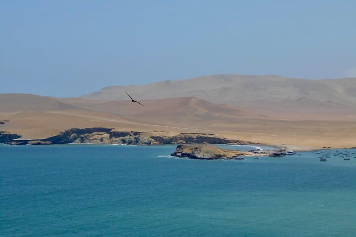 Paracas Bay & Huacachina Oasis Full-Day: Wildlife, Dunes and Pisco Tasting photo 2