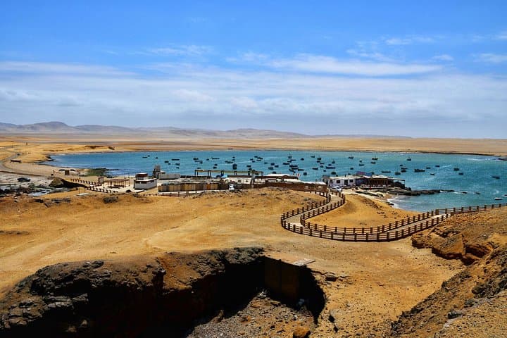 Paracas Bay & Huacachina Oasis Full-Day: Wildlife, Dunes and Pisco Tasting photo 3