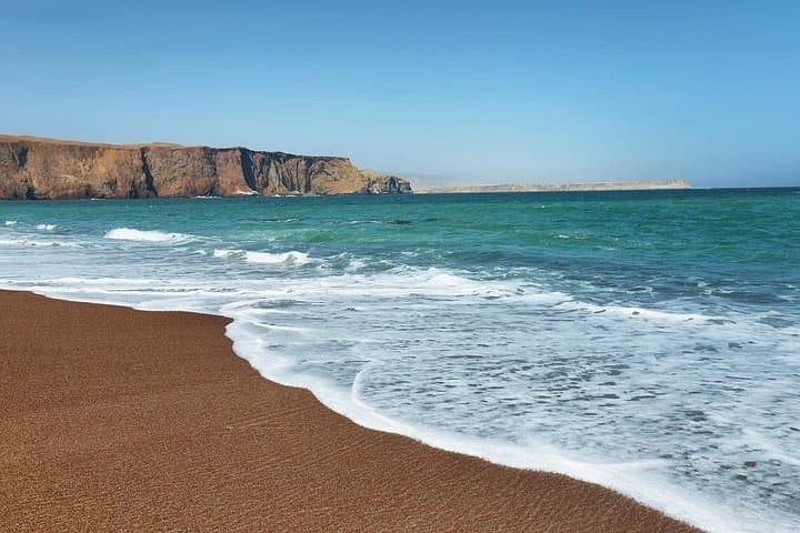 Paracas Bay & Huacachina Oasis Full-Day: Wildlife, Dunes and Pisco Tasting photo 4
