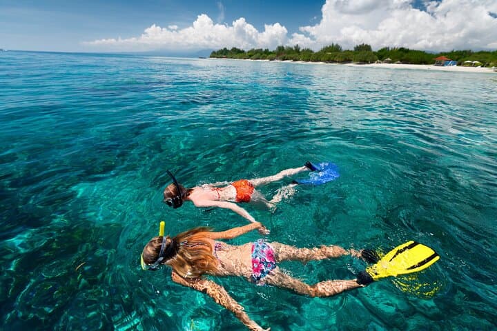 Snorkel Playa Doña Lala — Rincon’s Underwater Magic photo 3