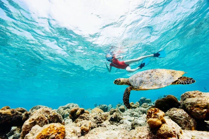 Snorkel Playa Doña Lala — Rincon’s Underwater Magic photo 4