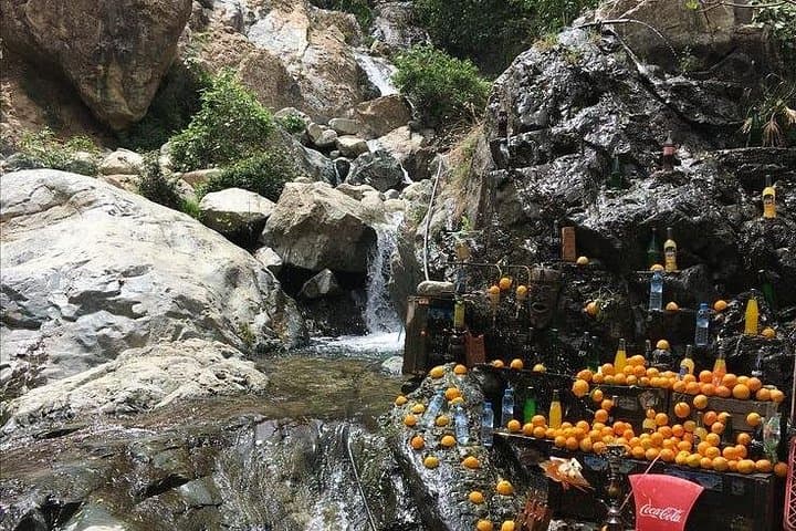 Ourika Valley Day Trip: Atlas Mountains, Berber Villages & Waterfalls photo 2