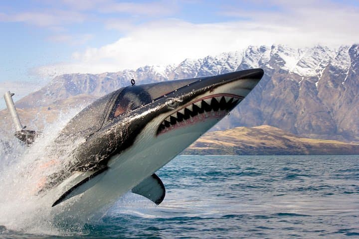 Seabreacher Shark Ride on Lake Wakatipu — Queenstown Hydro Attack Adventure photo 1