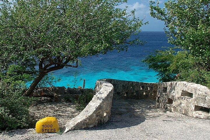 Guided North & South Island Tour of Bonaire — Small Group with Pickup photo 6