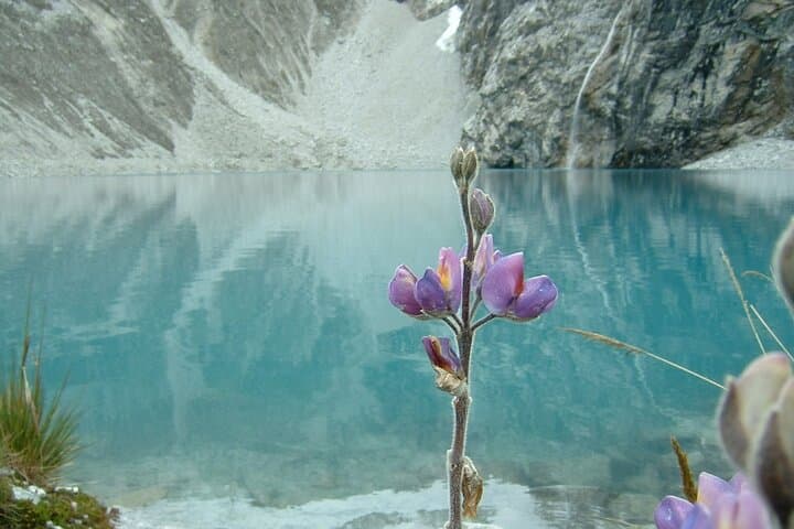 Laguna 69 Day Trek: Huaraz Blue Lake Hike photo 5